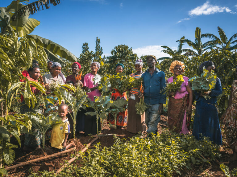 Farmer Field School students in Uganda show off their crops